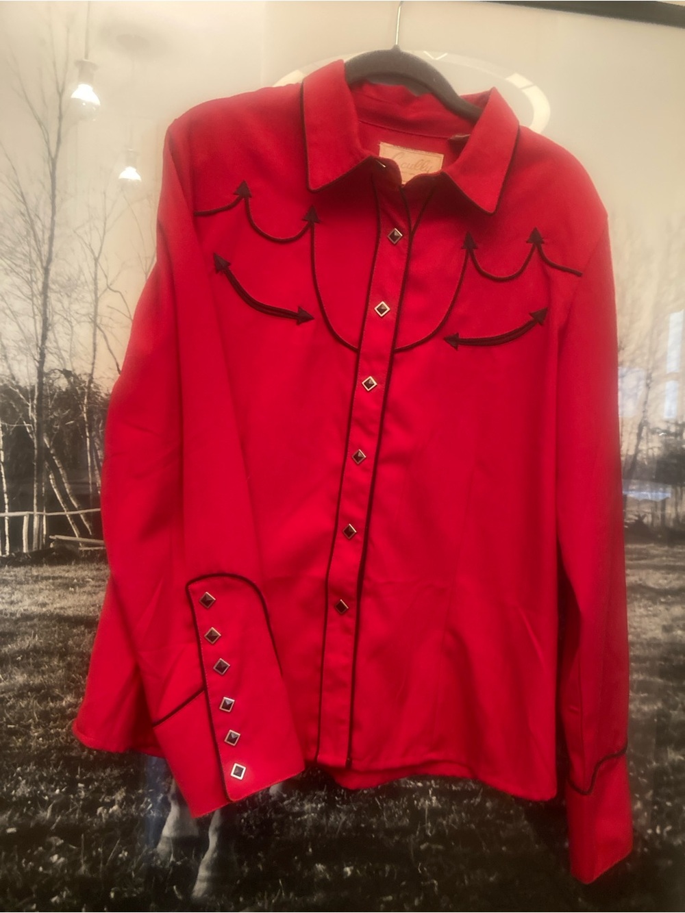 Rockabilly dream Vintage Scully Western shirt black red devil 😈 L Pin up 50s top